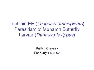 Tachinid Fly ( Lespesia archippivora ) Parasitism of Monarch Butterfly Larvae ( Danaus plexippus )