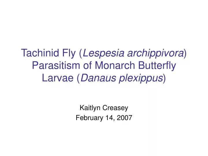 tachinid fly lespesia archippivora parasitism of monarch butterfly larvae danaus plexippus