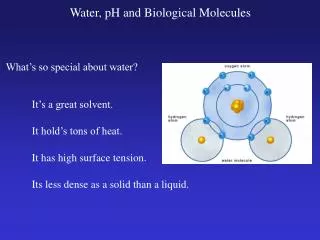What’s so special about water?
