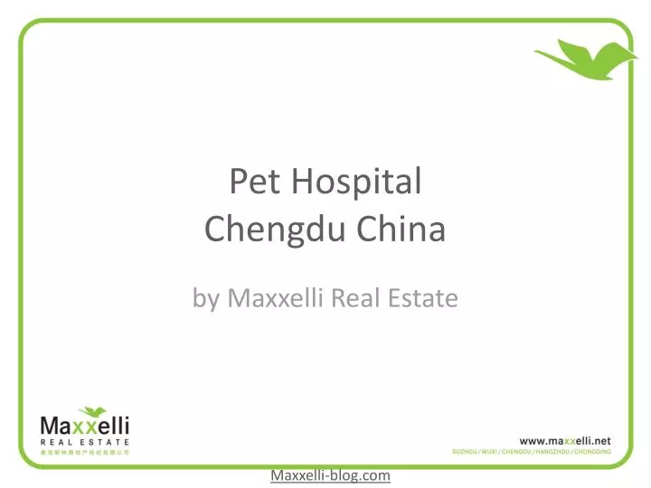 pet hospital chengdu china