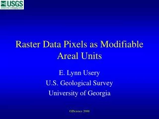 Raster Data Pixels as Modifiable Areal Units
