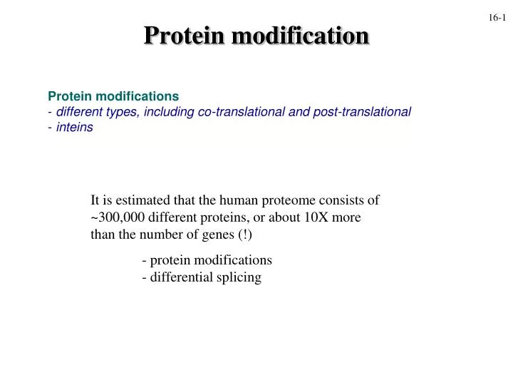 protein modification