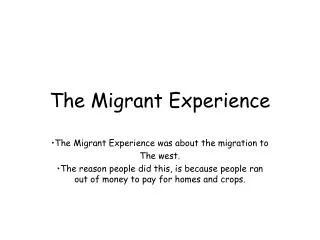 The Migrant Experience