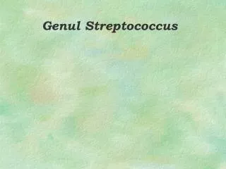 Genul Streptococcus
