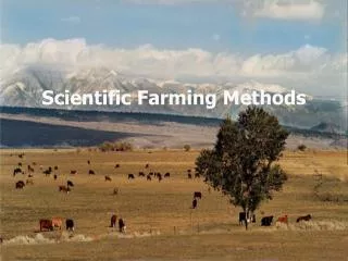 Scientific Farming Methods