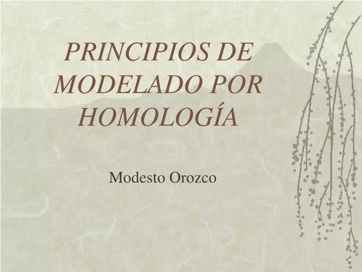 principios de modelado por homolog a