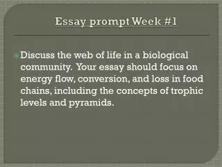 essay prompt week 1
