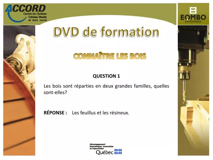 dvd de formation