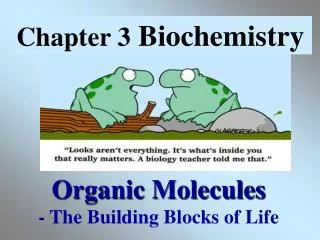 Organic Molecules - The Building Blocks of Life