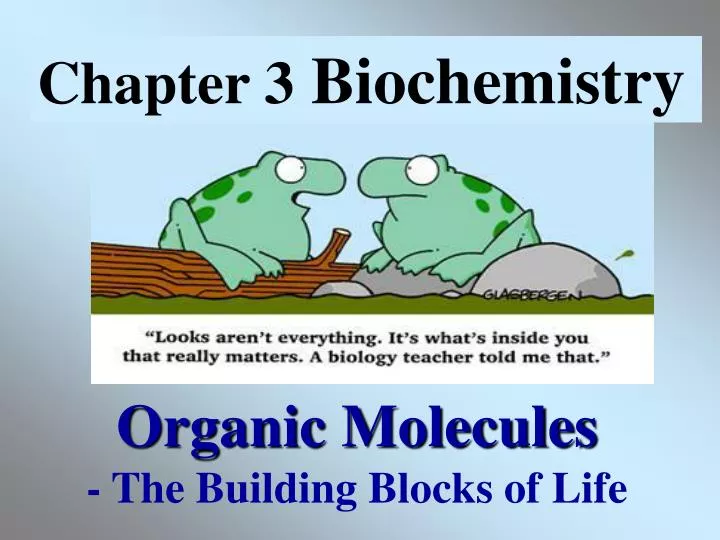 organic molecules the building blocks of life