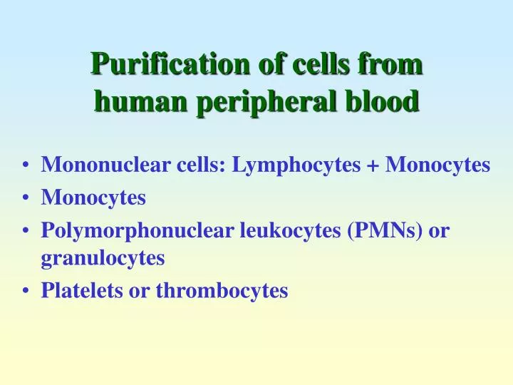 purification of cells from human peripheral blood