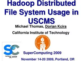 Hadoop Distributed File System Usage in USCMS