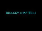 BIOLOGY CHAPTER 11 - slide 1