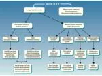 severe anterograde amnesia temporally graded retrograde amnesia - slide 1