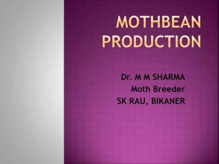 mothbean production