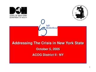 Addressing The Crisis in New York State October 5, 2005 ACOG District II / NY