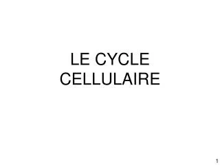 LE CYCLE CELLULAIRE