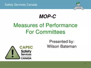 Measures of Performance For Committees