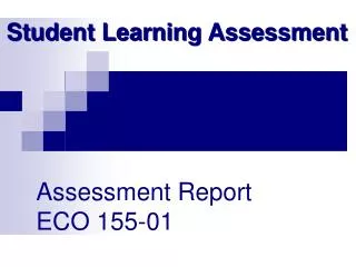 Assessment Report ECO 155-01