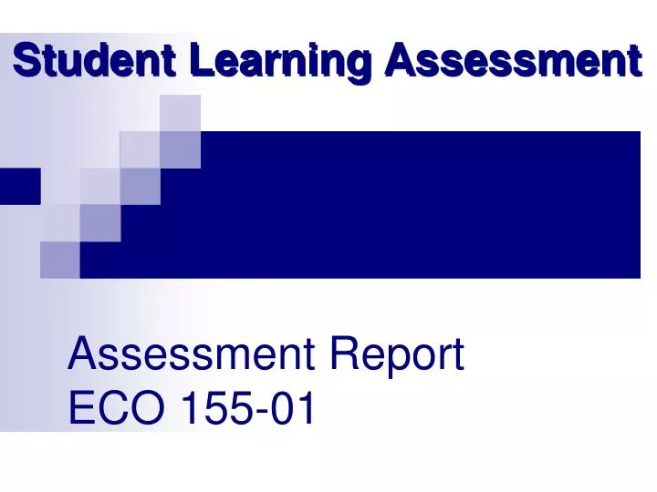 assessment report eco 155 01