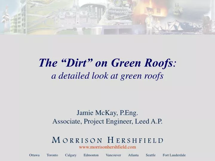 the dirt on green roofs a detailed look at green roofs