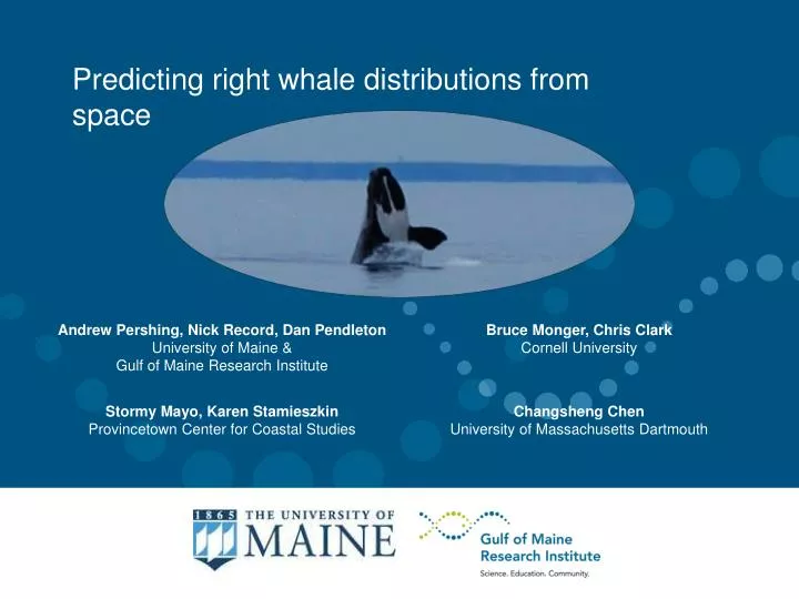 predicting right whale distributions from space