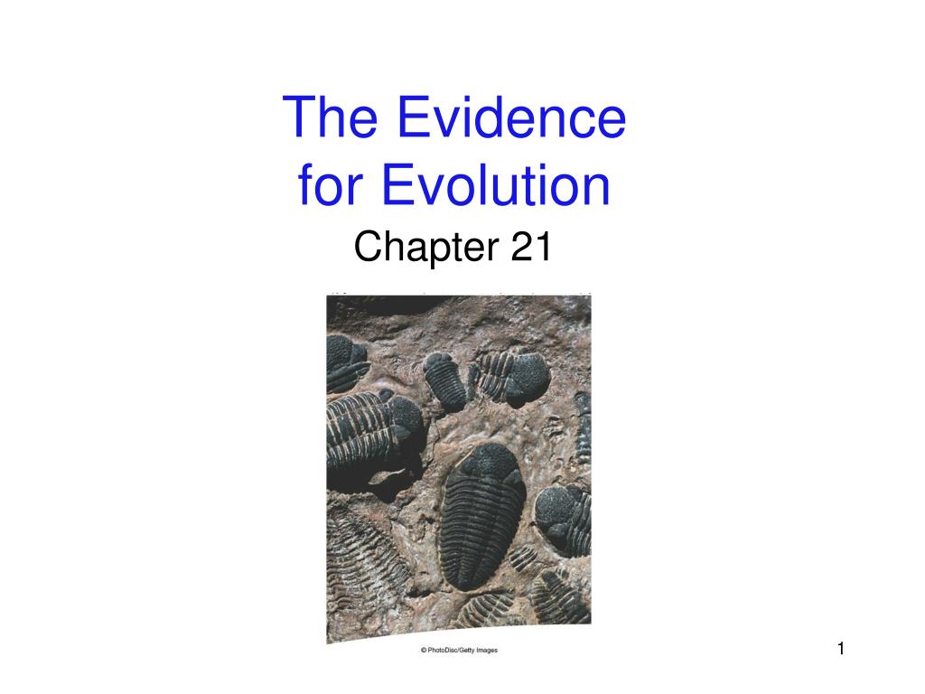 PPT - The Evidence for Evolution PowerPoint Presentation, free download ...
