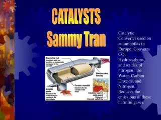 CATALYSTS Sammy Tran
