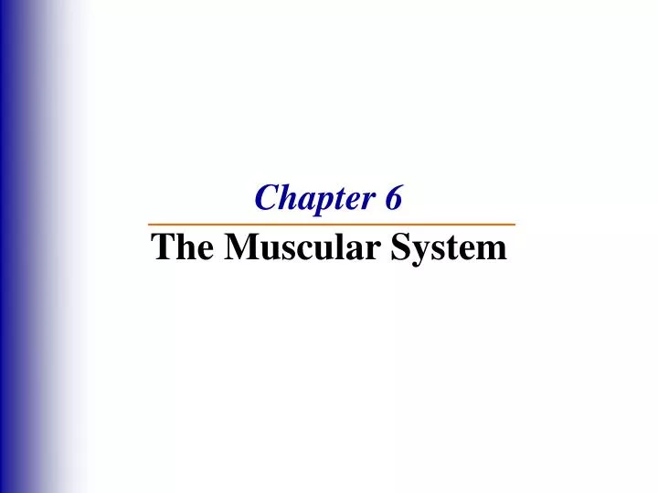 chapter 6 the muscular system