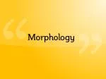 Morphology