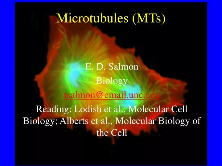 microtubules mts