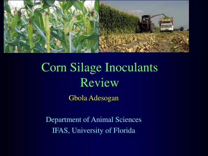 corn silage inoculants review