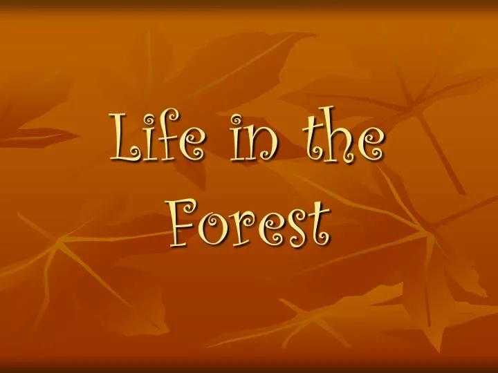 life in the forest