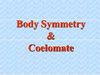 Body Symmetry &amp; Coelomate