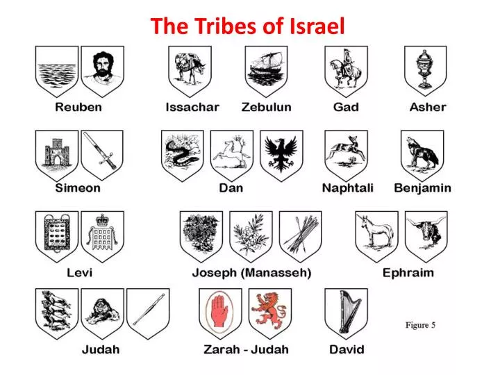 the tribes of israel