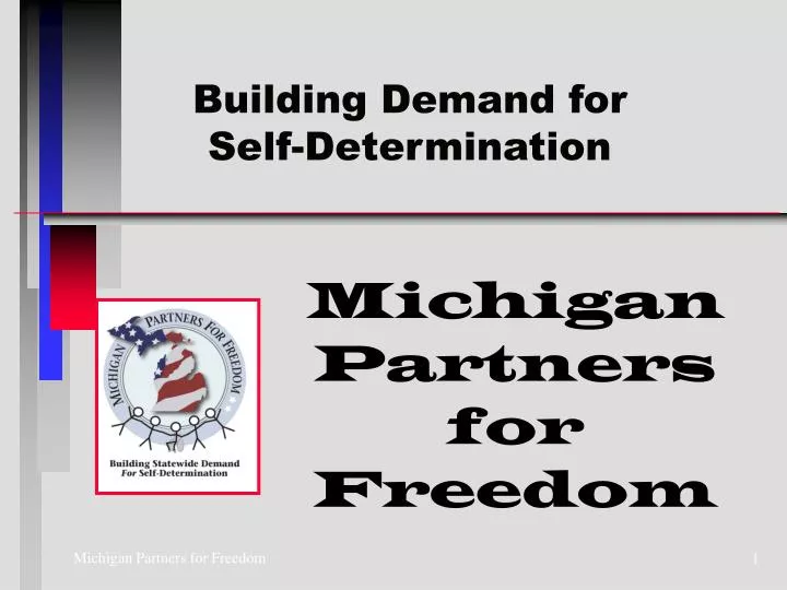 michigan partners for freedom