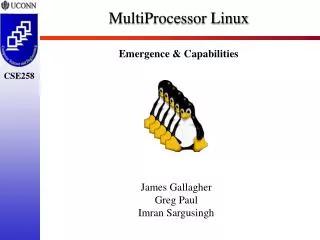 MultiProcessor Linux