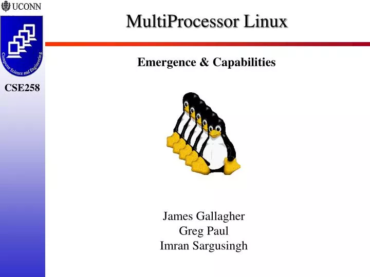 multiprocessor linux