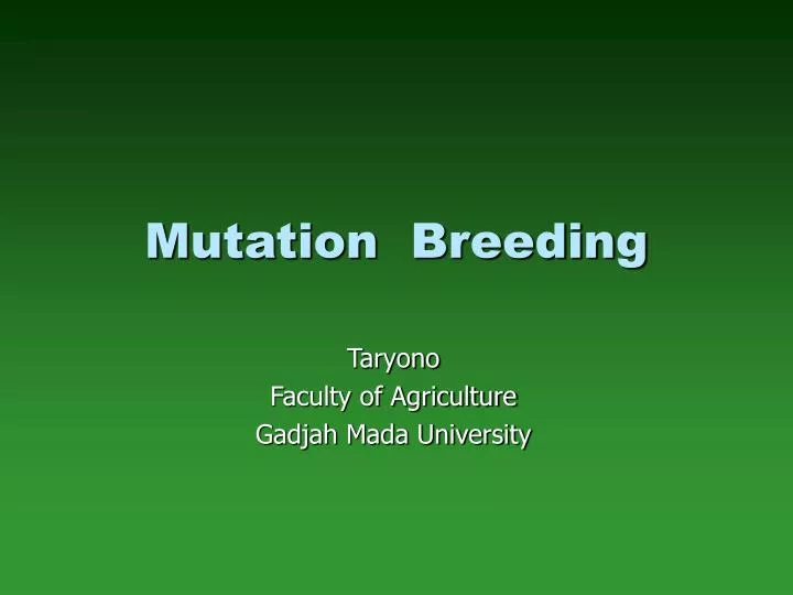 mutation breeding