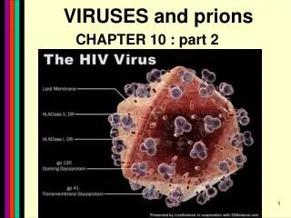 VIRUSES and prions