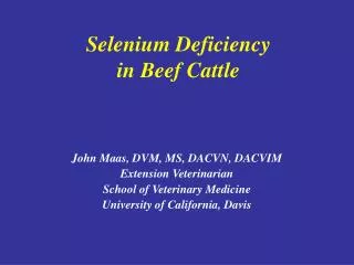 Selenium Deficiency in Beef Cattle