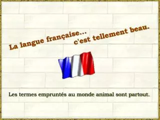 La langue française... 				c'est tellement beau.
