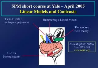 SPM short course at Yale – April 200 5 Linear Models and Contrasts