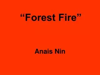 “Forest Fire”