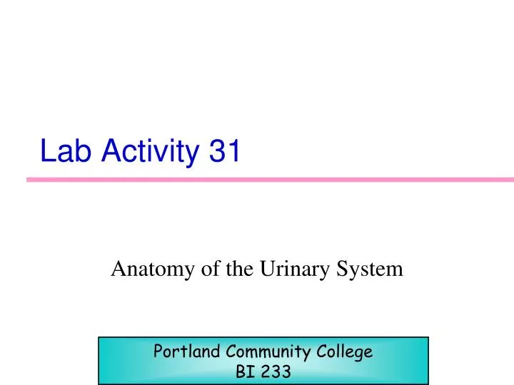 lab activity 31