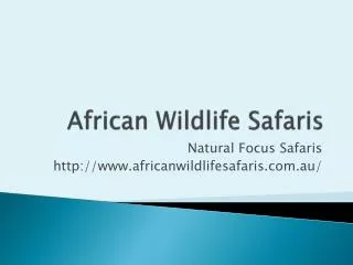 African Wildlife Safaris and Tours