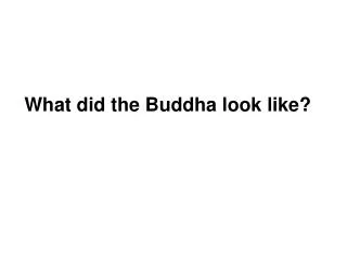 What did the Buddha look like?