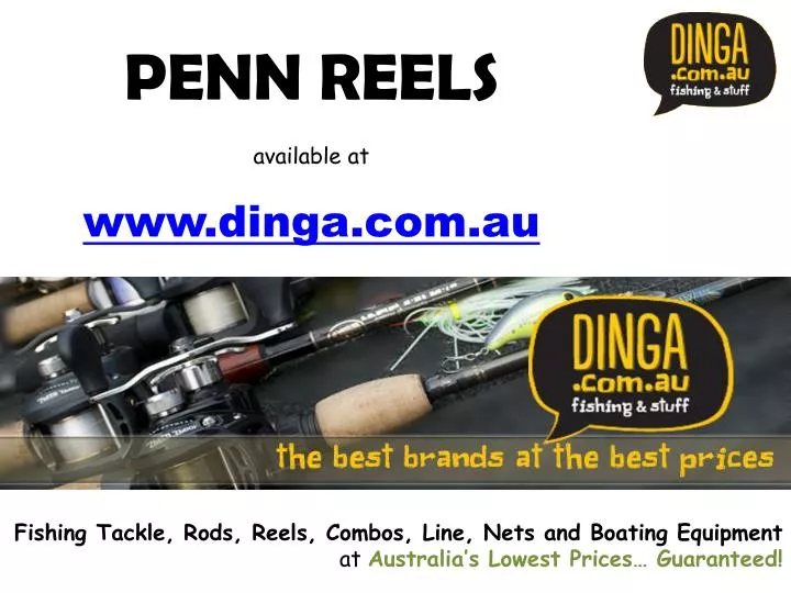 penn reels available at www dinga com au