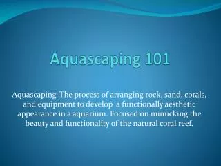 Aquascaping 101
