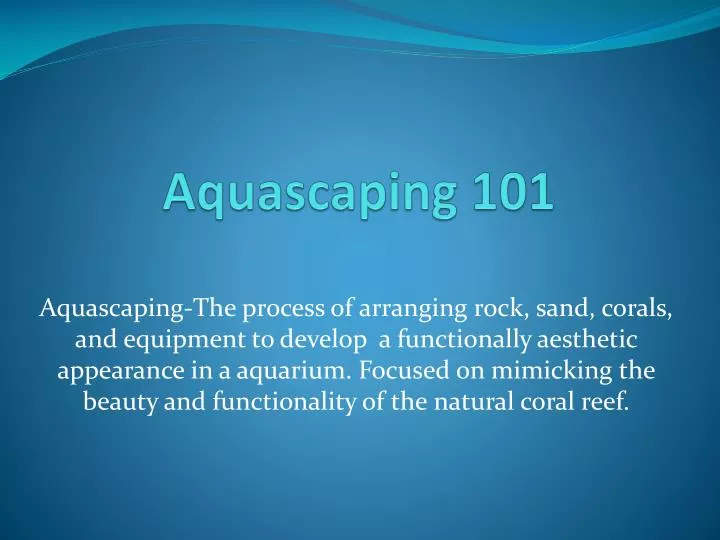 aquascaping 101